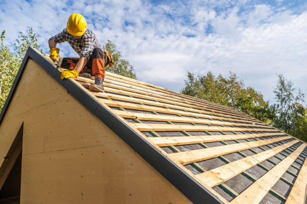 Roof Gutter Cleaning in Golden Gate, FL